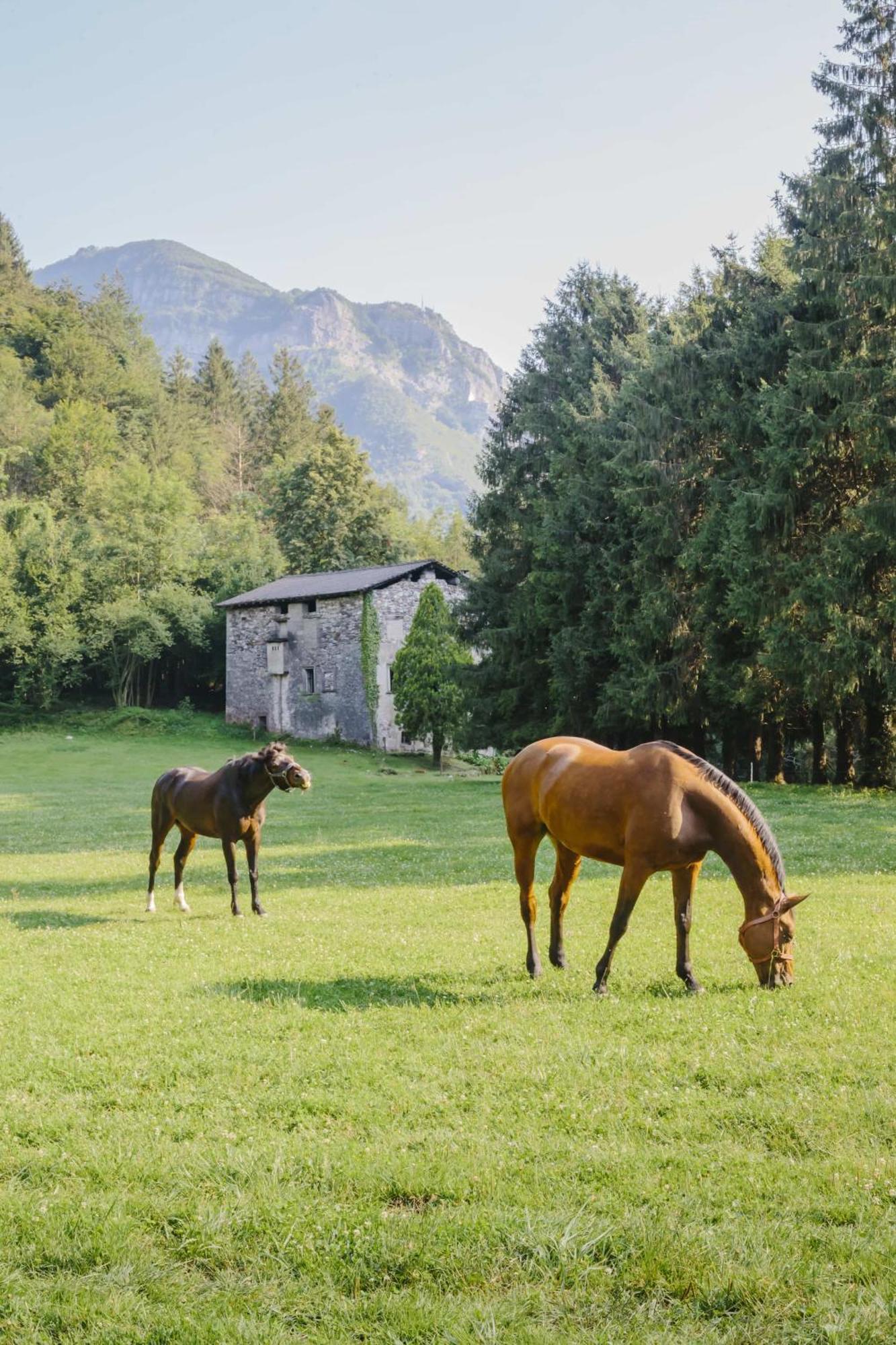Agriturismo Ferdy Lenna Exterior foto