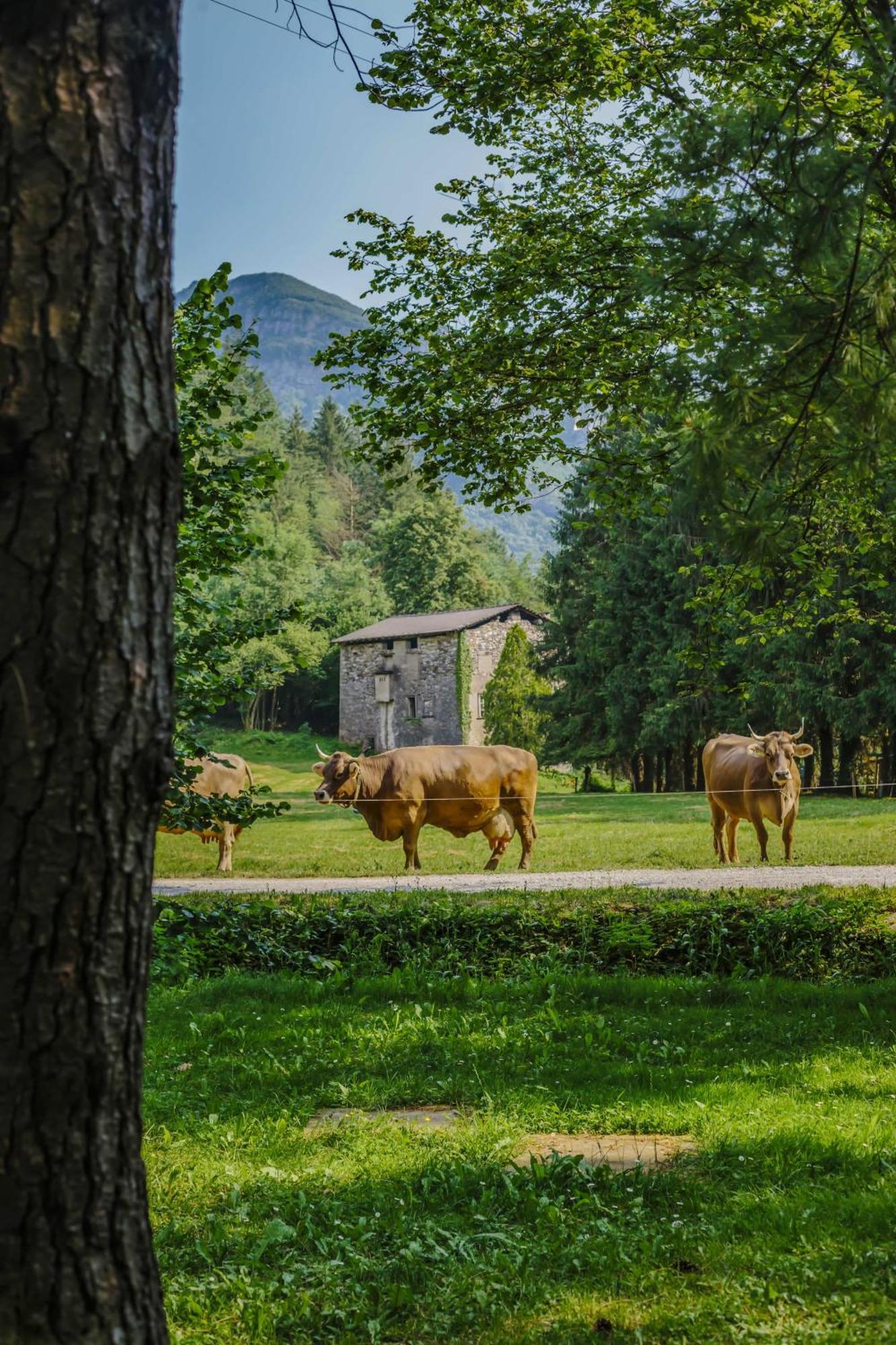 Agriturismo Ferdy Lenna Exterior foto